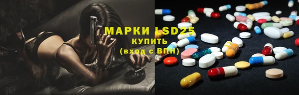 дмт Пересвет