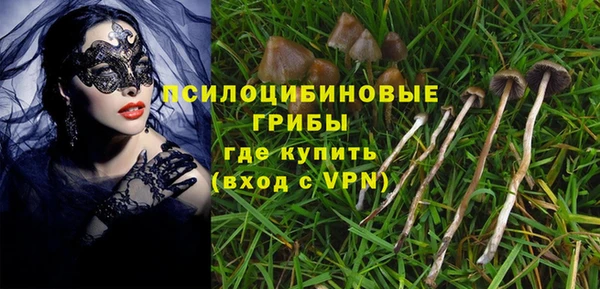 круглые Аркадак